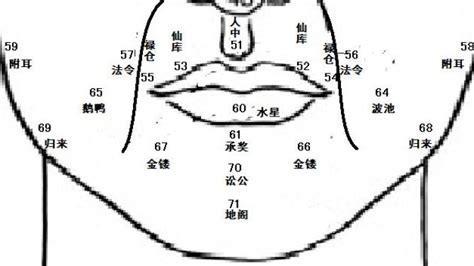 翹鼻面相|麦玲玲面相讲座之 鼻子 – 人相学